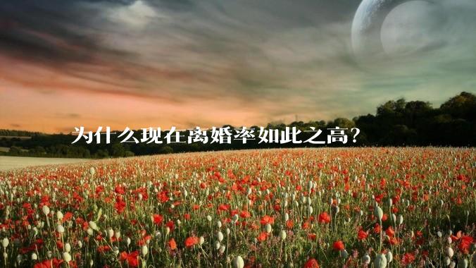 为什么现在离婚率如此之高？